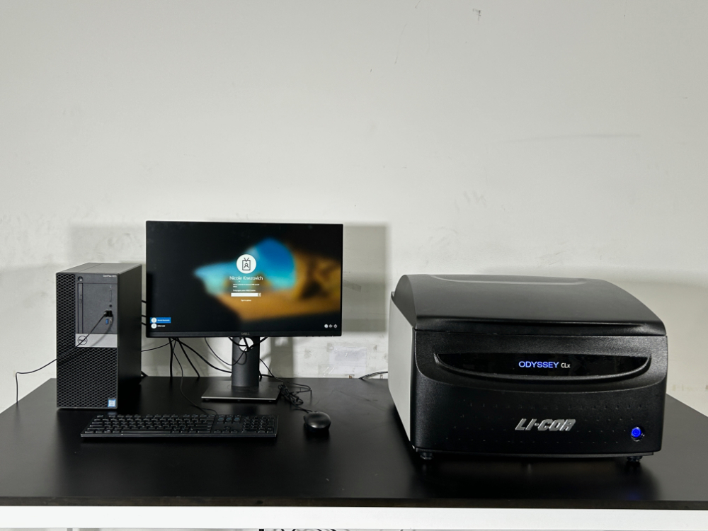 Image of Li-Cor Odyssey CLx Imager